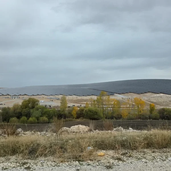 WhatsApp Image 2025-11-11 at 14.22.56 (2)